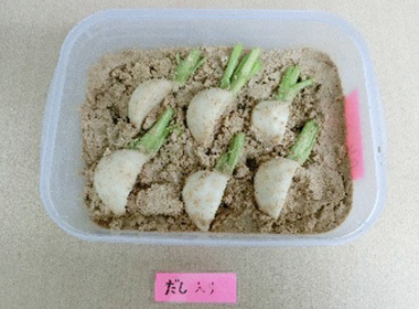 混ぜる前。 皮ありのカブも、皮なしのカブもどちらもしっかり漬かっています。