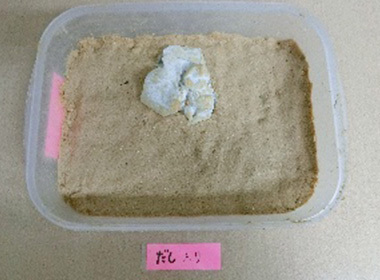 こちらも同様にぬか床を