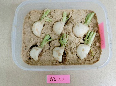 混ぜる前。 だしの香りは強くなってきているように感じますが、こちらはぬかの香りはイマイチ！？