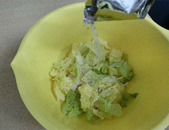 ①　切った白菜をボールに入れ本品をまぶして軽く揉み、重しを乗せて冷蔵庫へいれます。半日～1日で水が上がれば漬け上がりです。