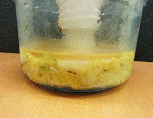 ①　切った白菜をボールに入れ本品をまぶして軽く揉み、重しを乗せて冷蔵庫へいれます。半日～1日で水が上がれば漬け上がりです。