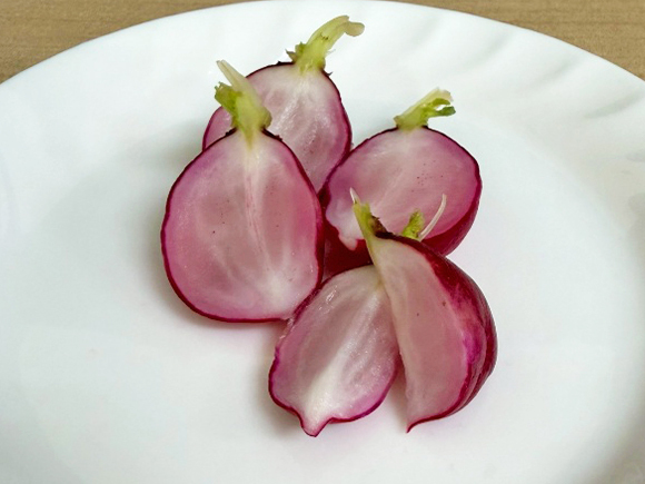 後味は、少し辛みがありましたが美味しく漬かっていました。