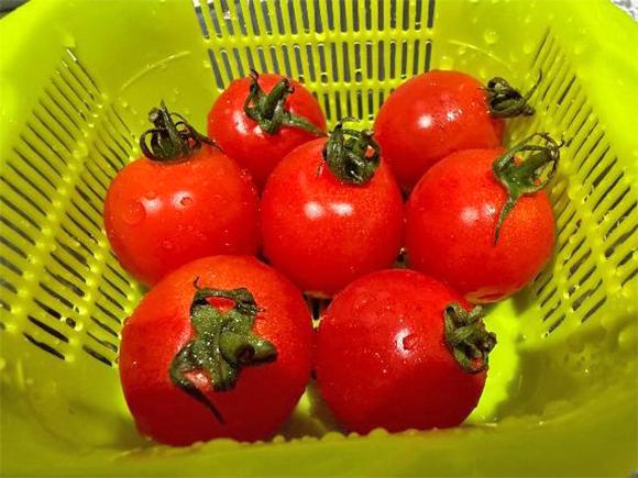 水で洗った後、軽く塩をふって1晩漬けました。