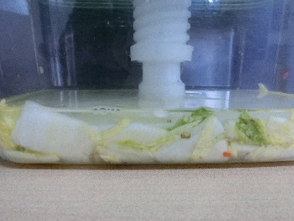 ④ 春は2~3時間程度、冬は1日~2日で水が上がれば漬けあがり