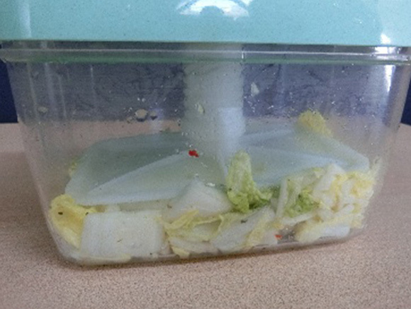 ③ 重石を乗せて漬ける(今回は容器を使用)